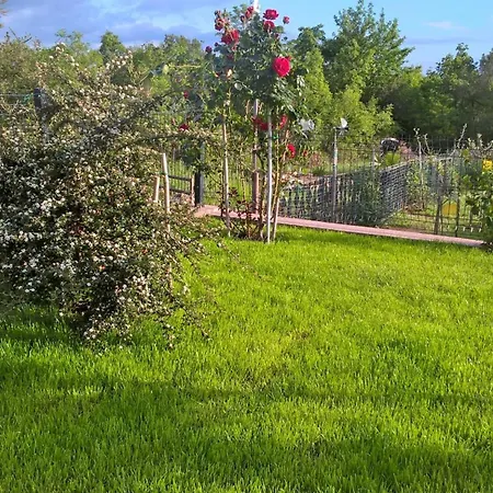 Gulici Appartement